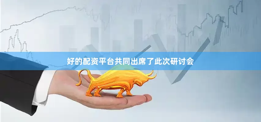 好的配资平台共同出席了此次研讨会